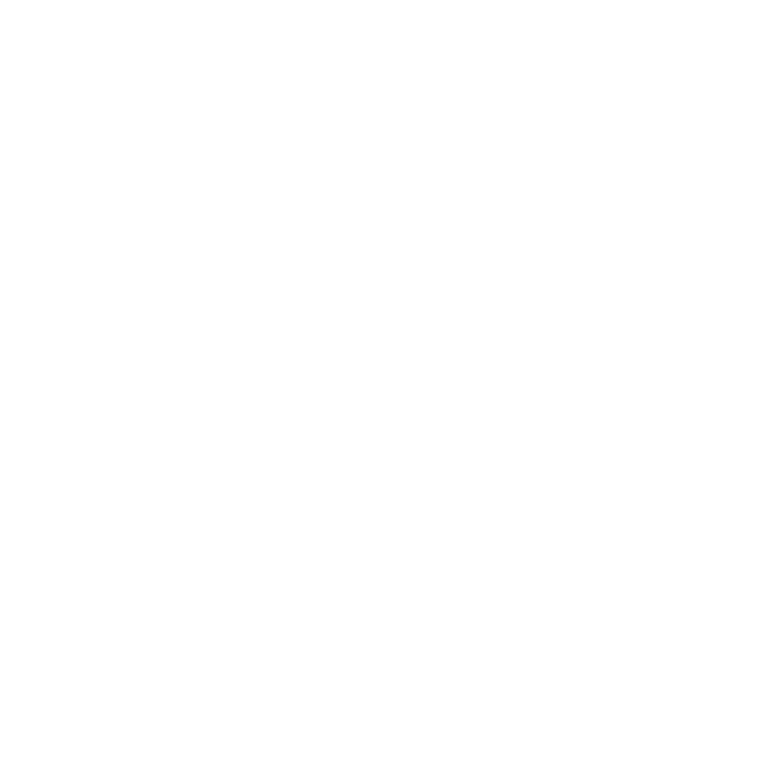 Folly Logo